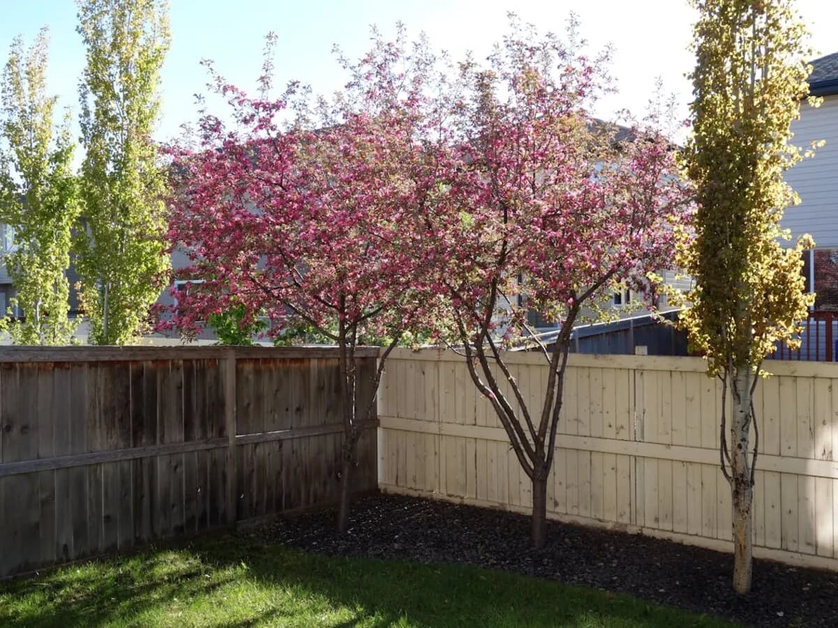 Composite Deck with Railing completed in Greer, SC by Stateside Fence and Deck