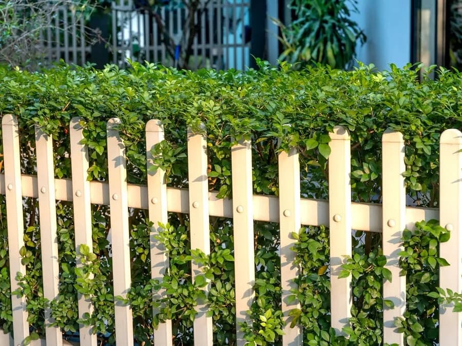 Fence Installation project example 2 by Stateside Fence and Deck