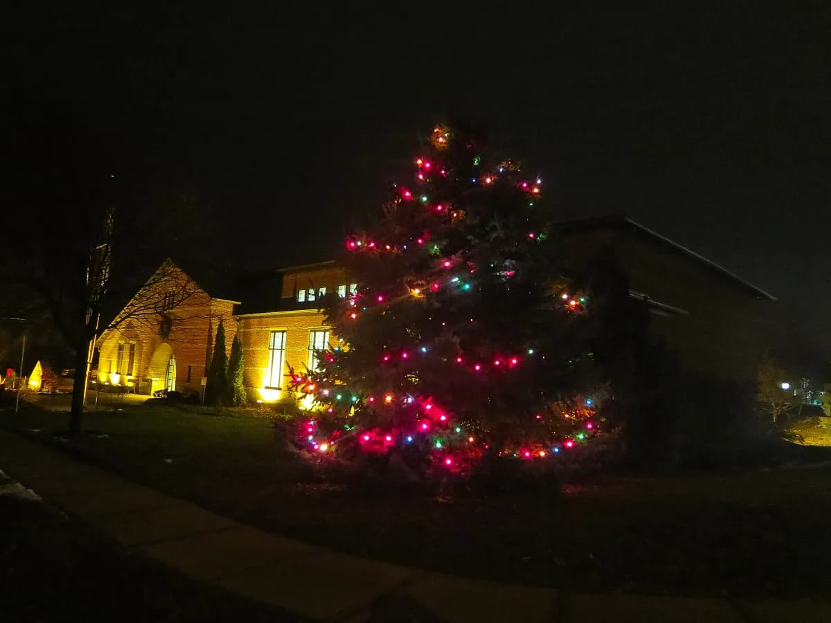 Holiday Lights Installation project example 2 by Stateside Fence and Deck